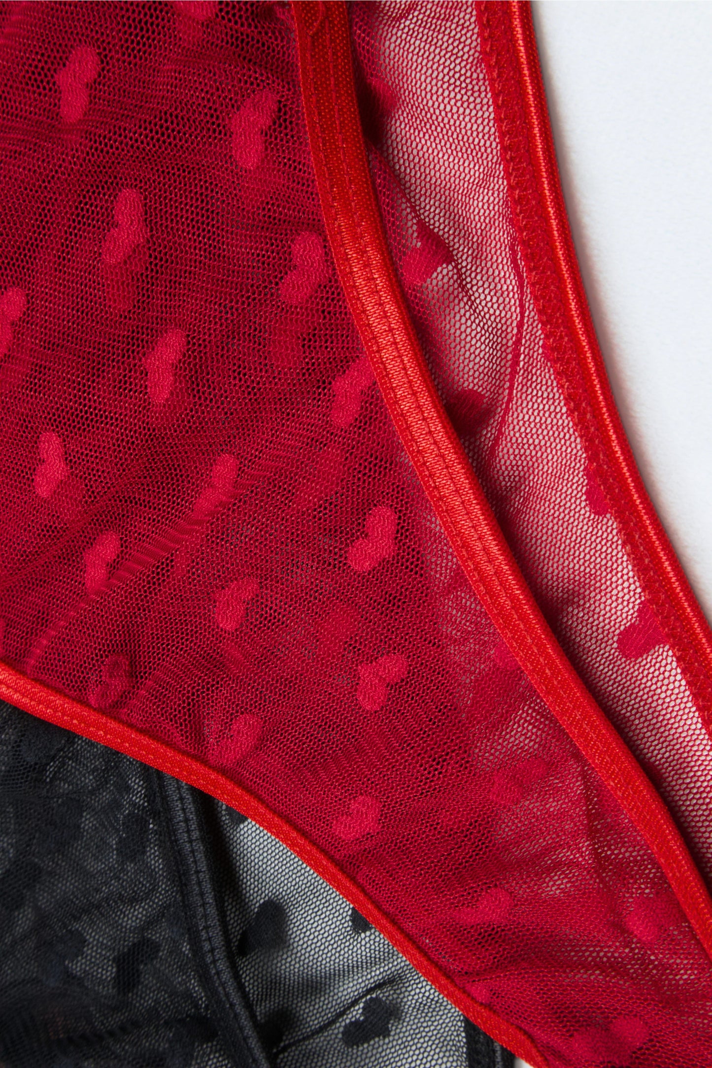 Sheer Reveal Bikini Panty (Pack of 4)