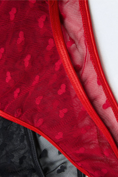 Sheer Reveal Bikini Panty (Pack of 4)