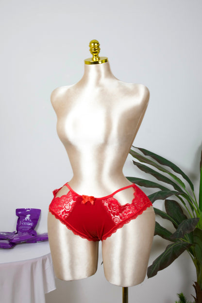 Sheer Reveal Lace Brief panty