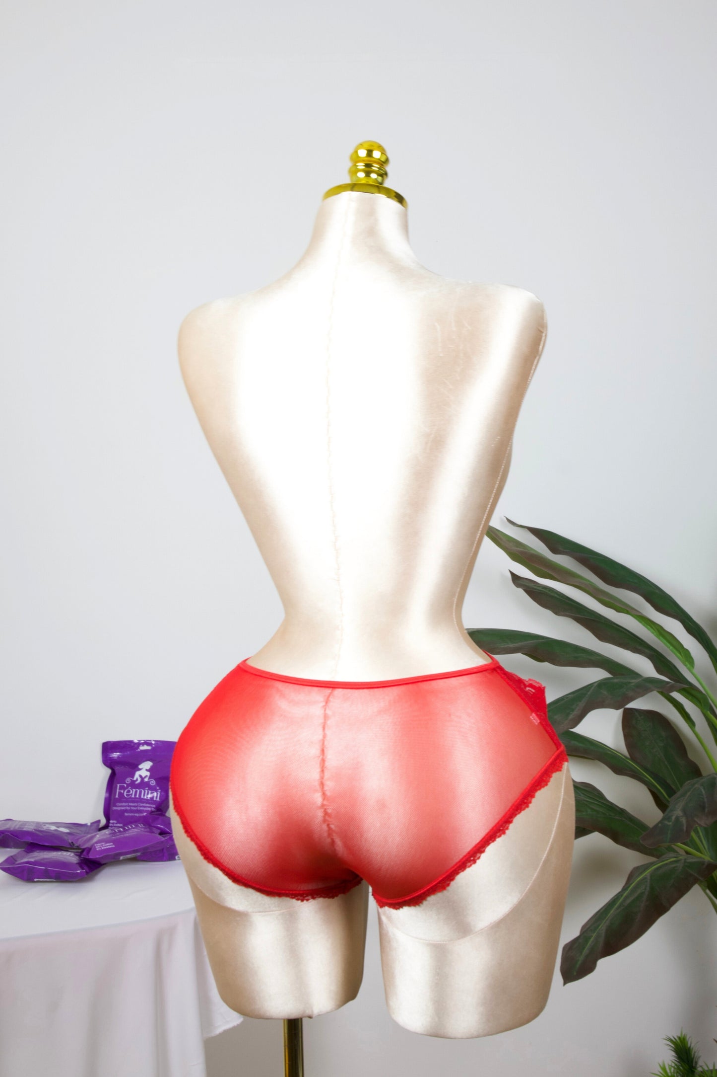 Sheer Reveal Lace Brief panty