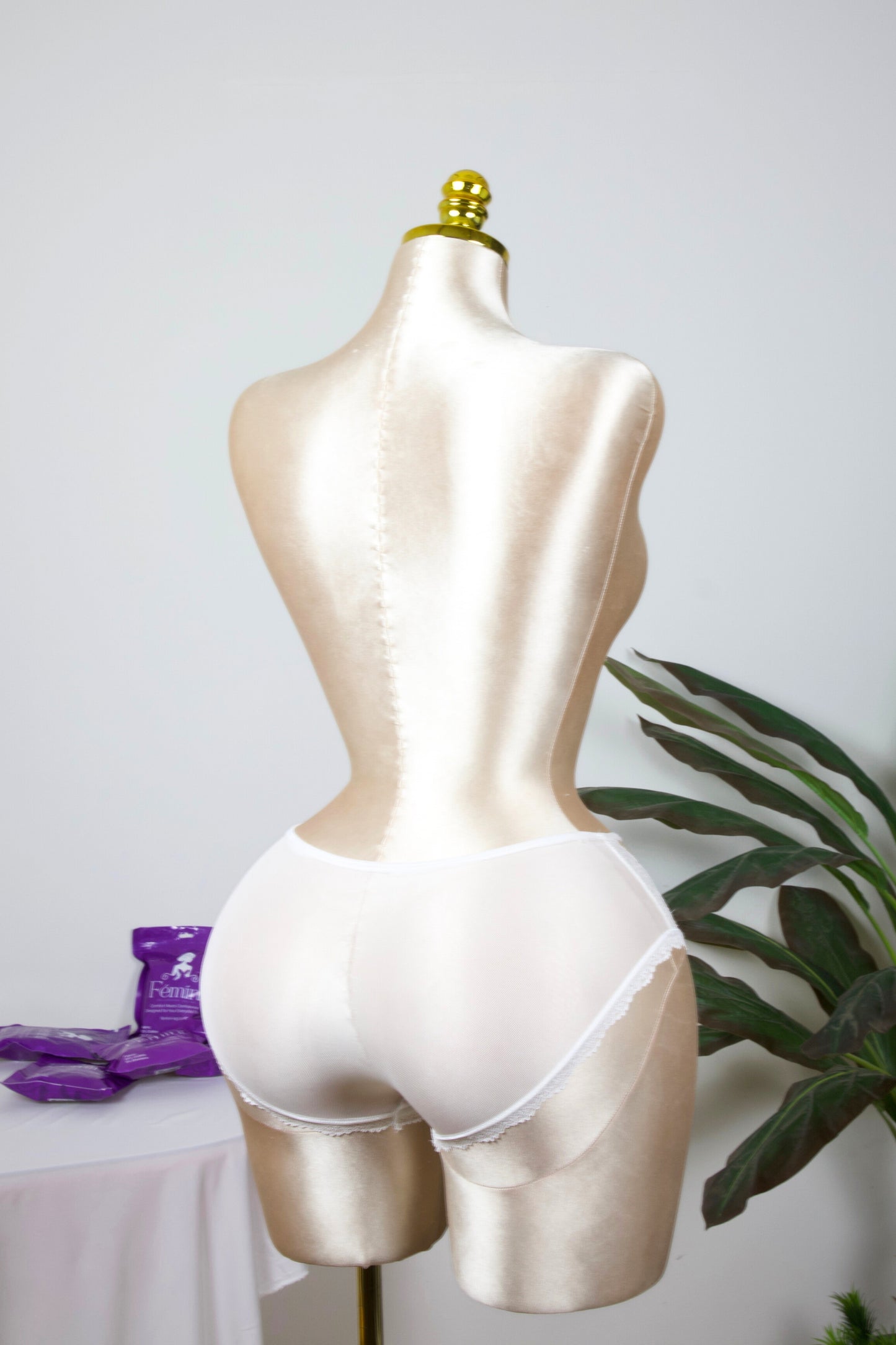 Sheer Reveal Lace Brief panty