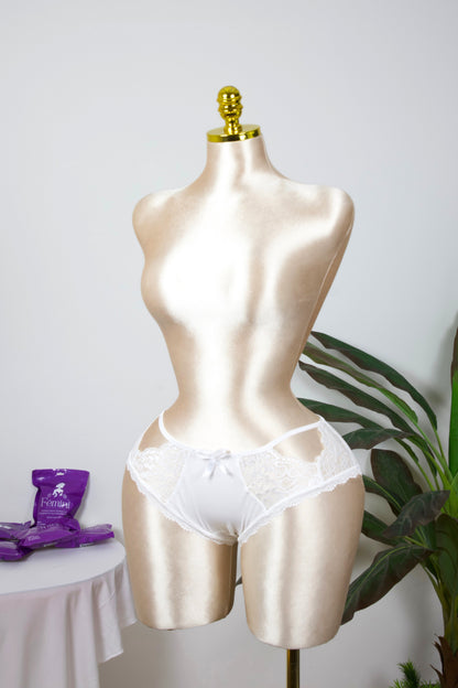 Sheer Reveal Lace Brief panty