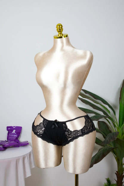 Sheer Reveal Lace Brief panty