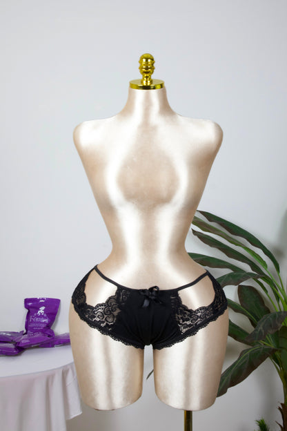 Sheer Reveal Lace Brief panty