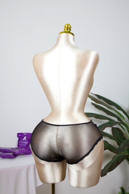 Sheer Reveal Lace Brief panty