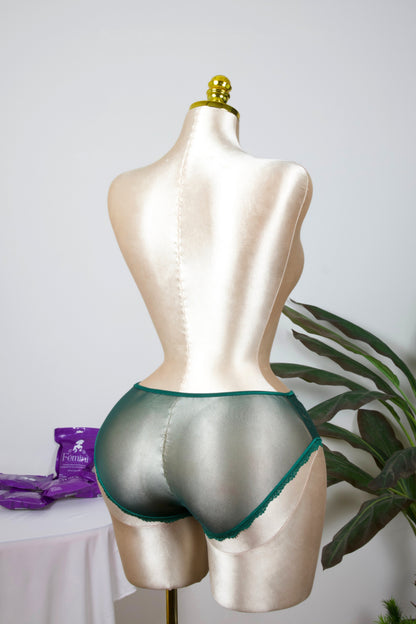 Sheer Reveal Lace Brief panty