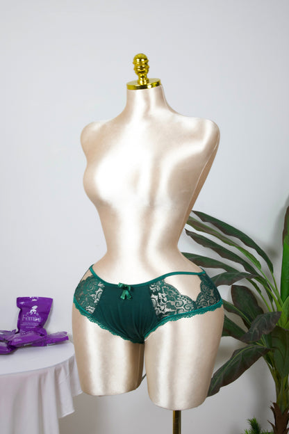 Sheer Reveal Lace Brief panty