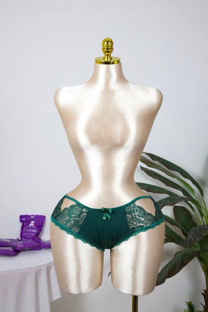 Sheer Reveal Lace Brief panty