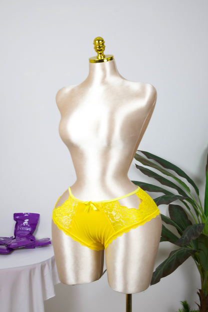 Sheer Reveal Lace Brief panty