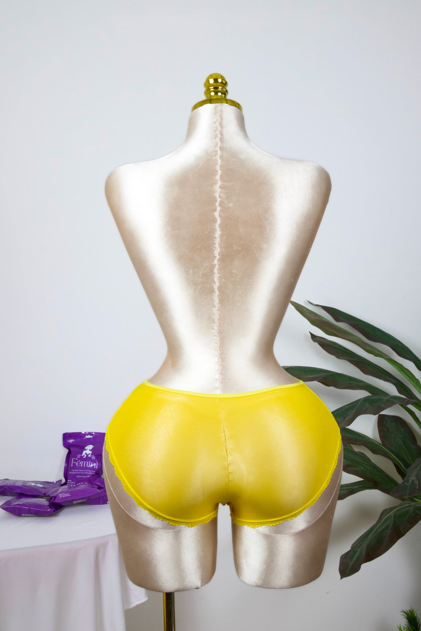 Sheer Reveal Lace Brief panty