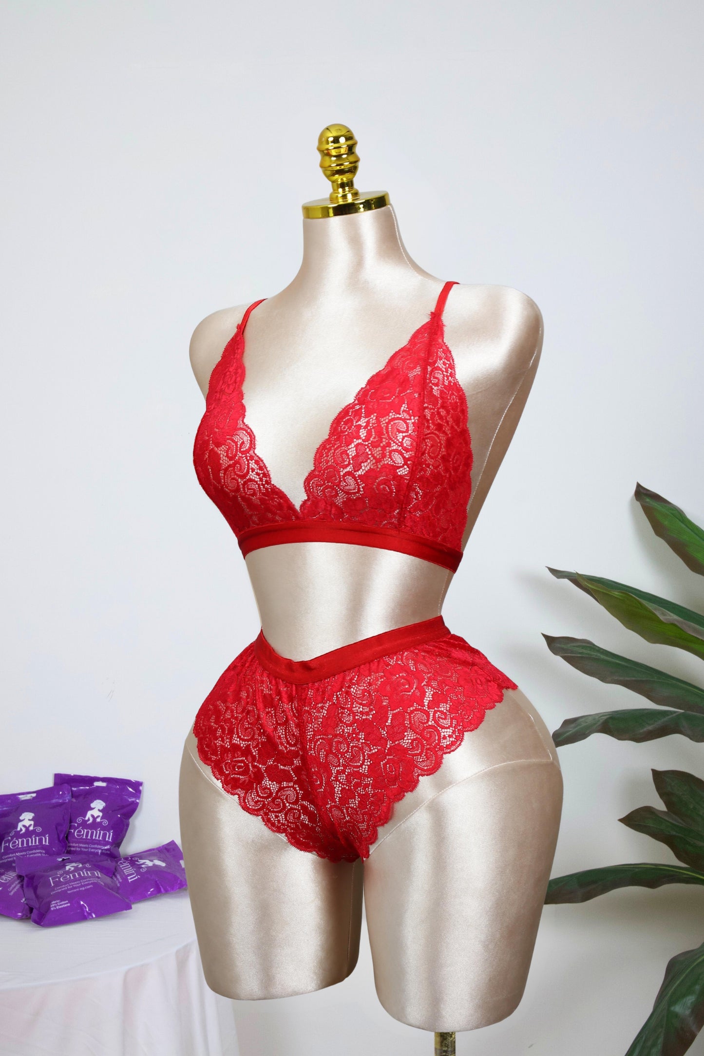 Lace Bralette and Shortie Set