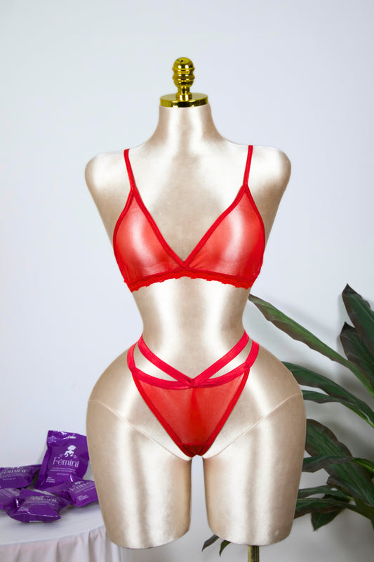 Mesh Strappy Bra and Panty Set