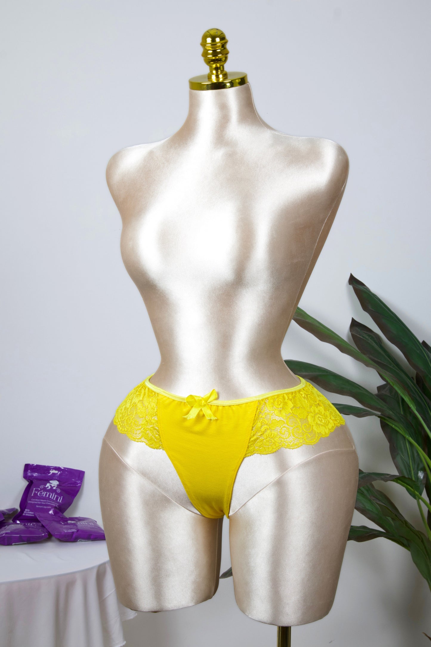 Cotton Lace Brazilian Panty