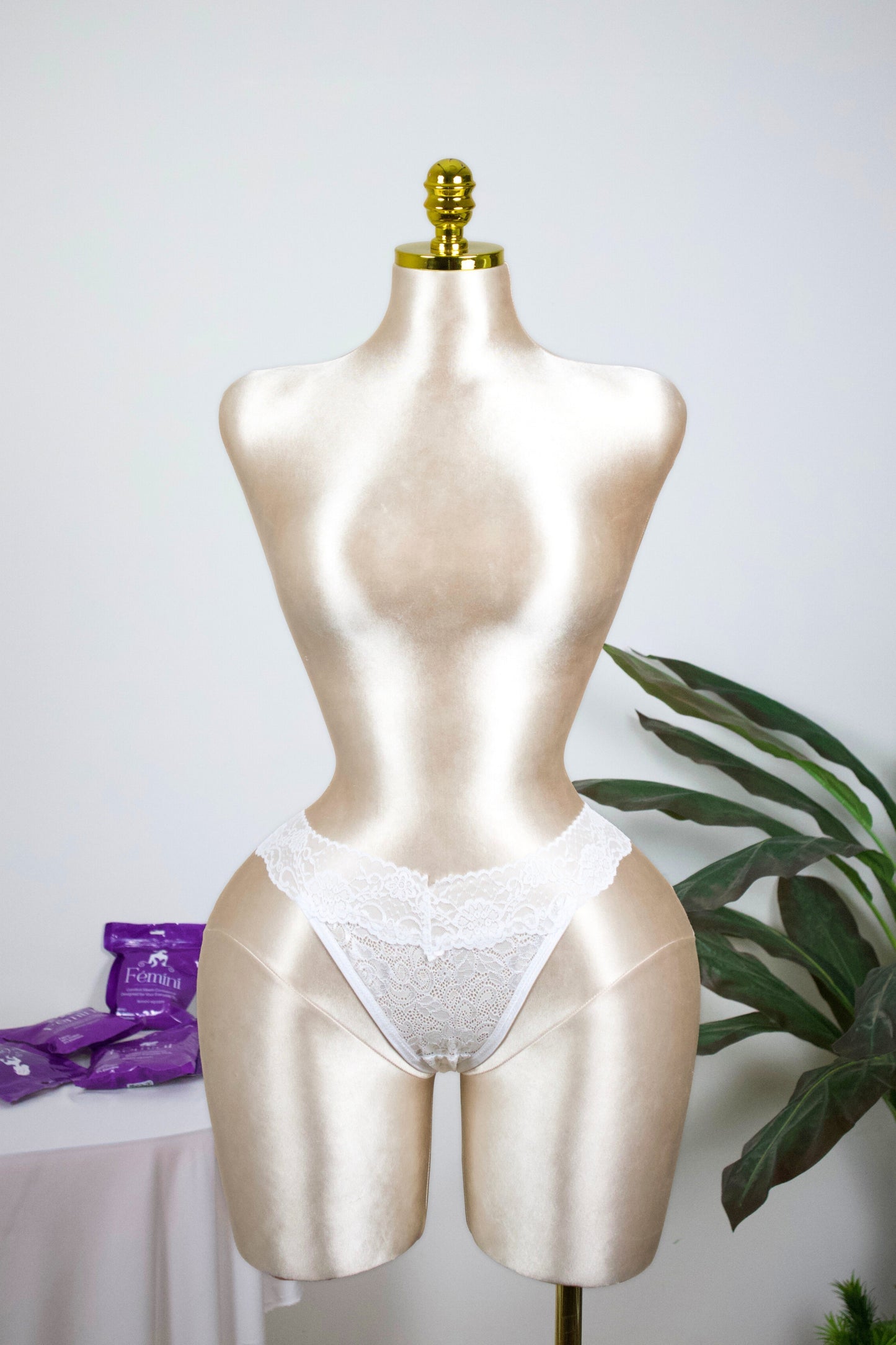 Lace Brazilian Panty