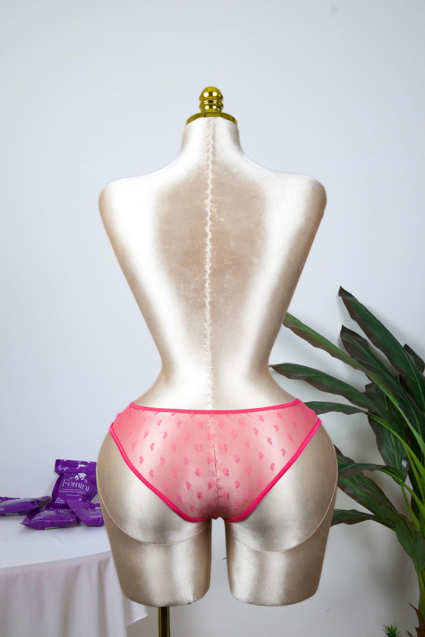 Sheer Reveal Bikini Panty