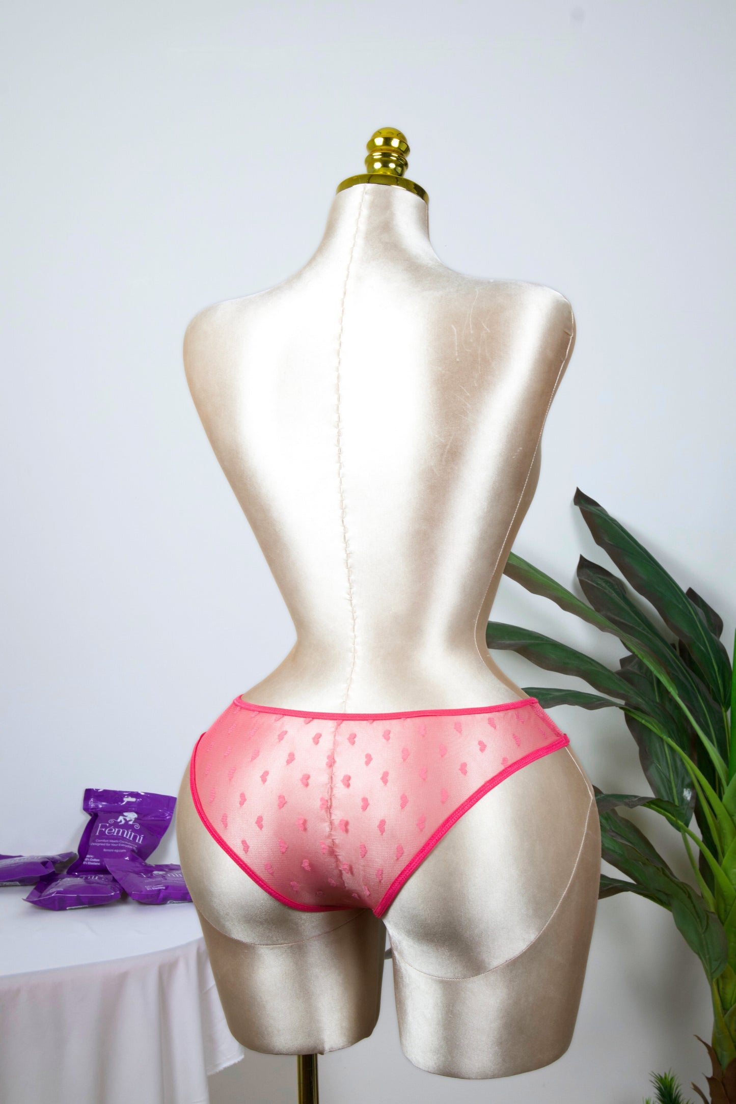 Sheer Reveal Bikini Panty