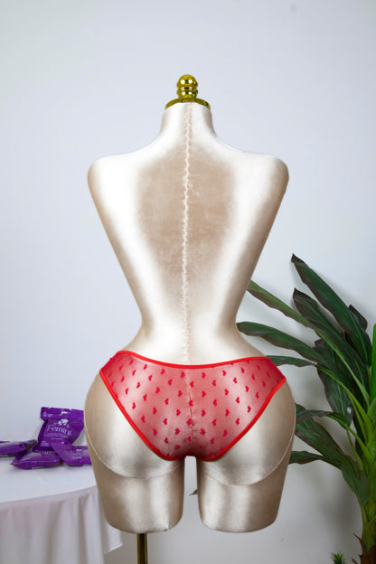 Sheer Reveal Bikini Panty