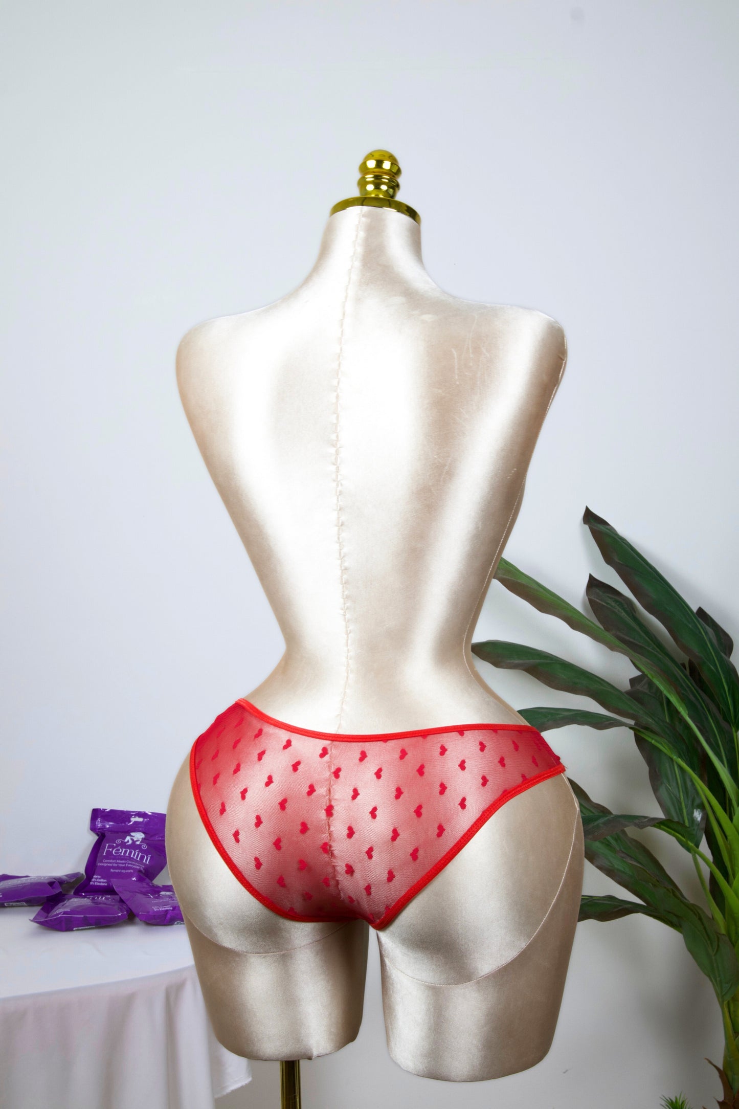 Sheer Reveal Bikini Panty