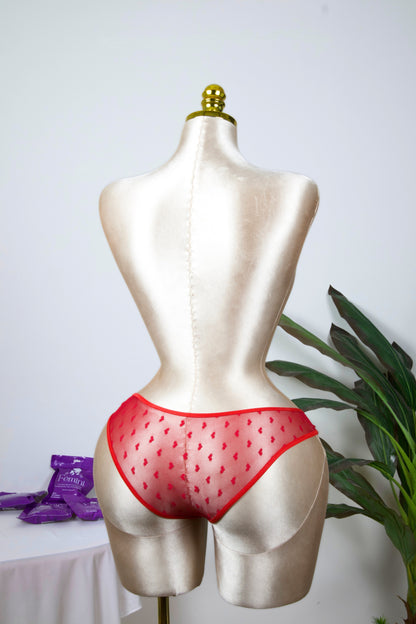 Sheer Reveal Bikini Panty