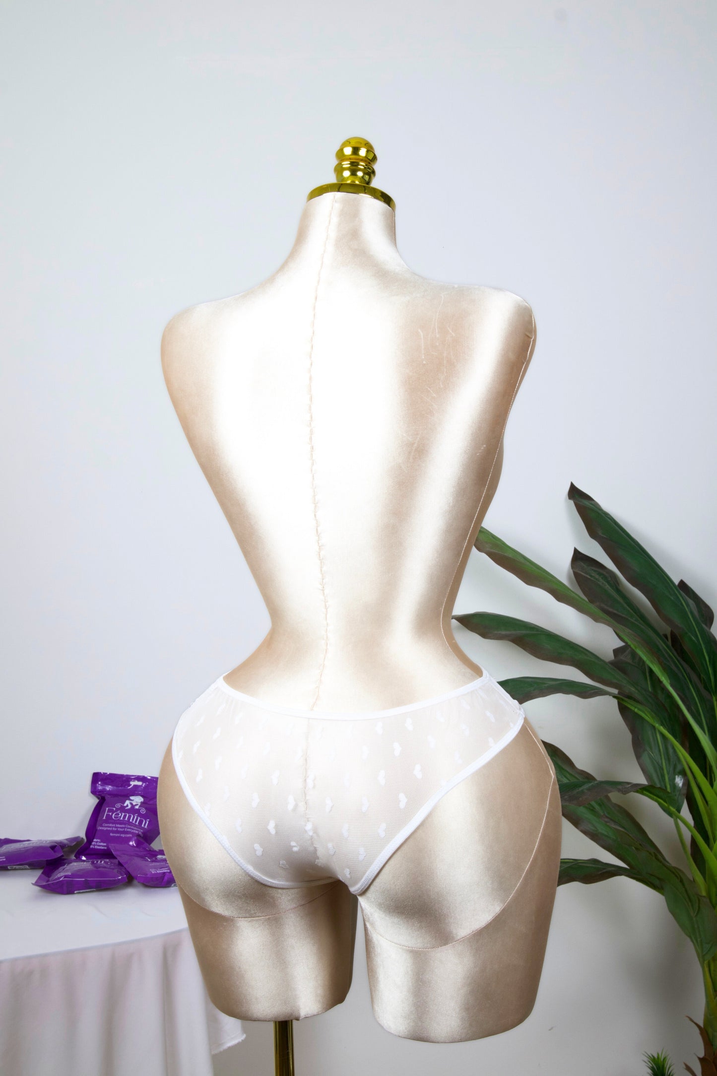 Sheer Reveal Bikini Panty