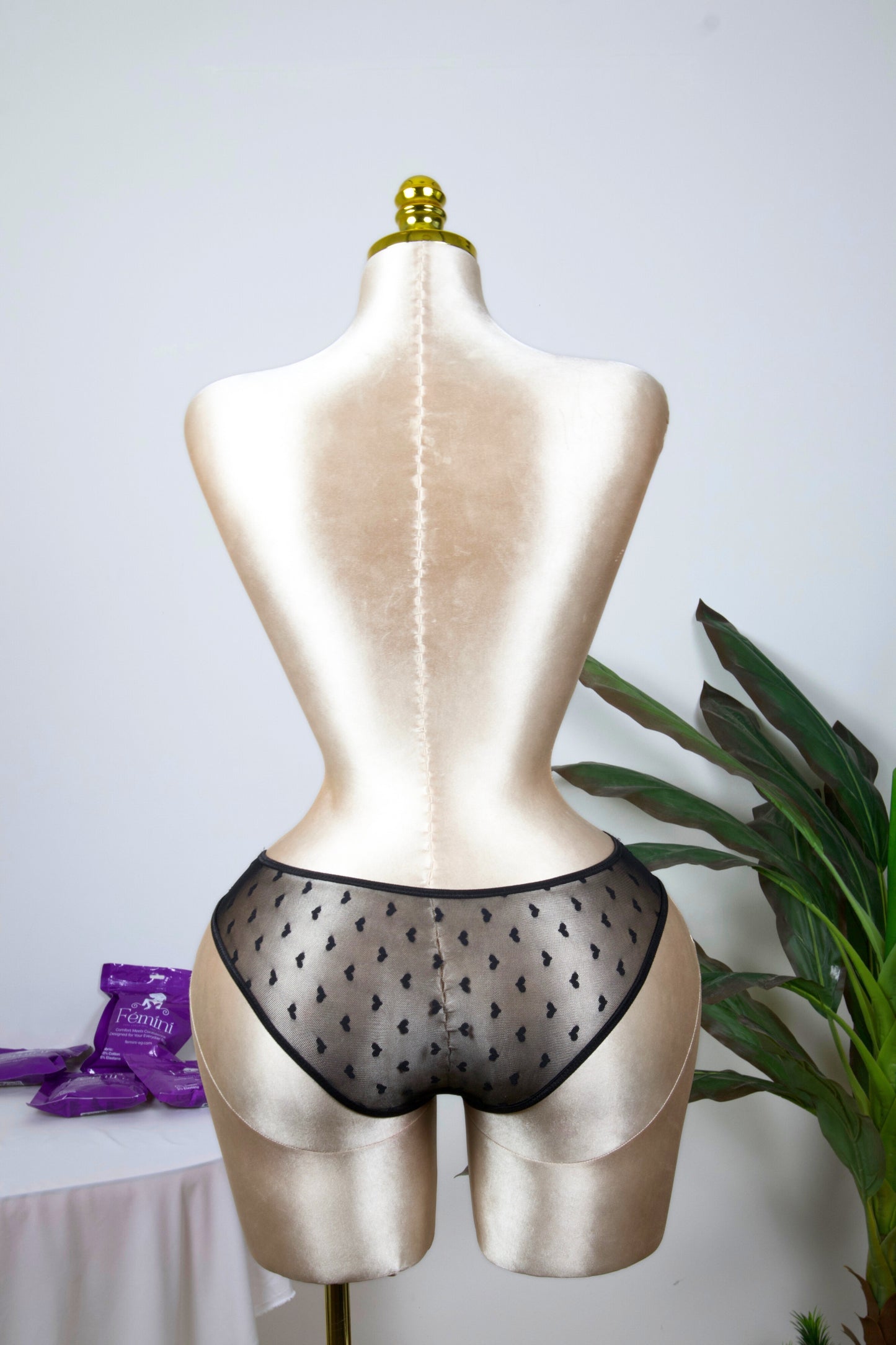 Sheer Reveal Bikini Panty