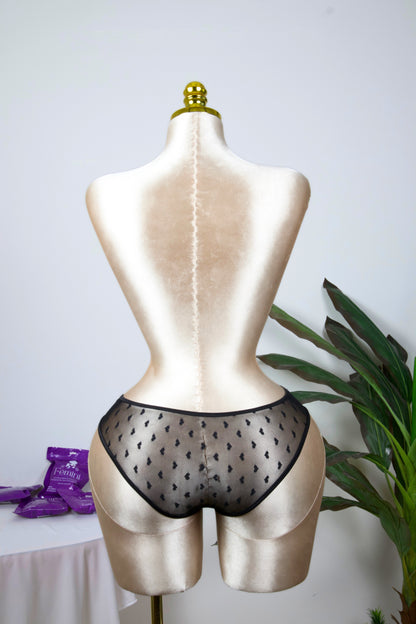 Sheer Reveal Bikini Panty