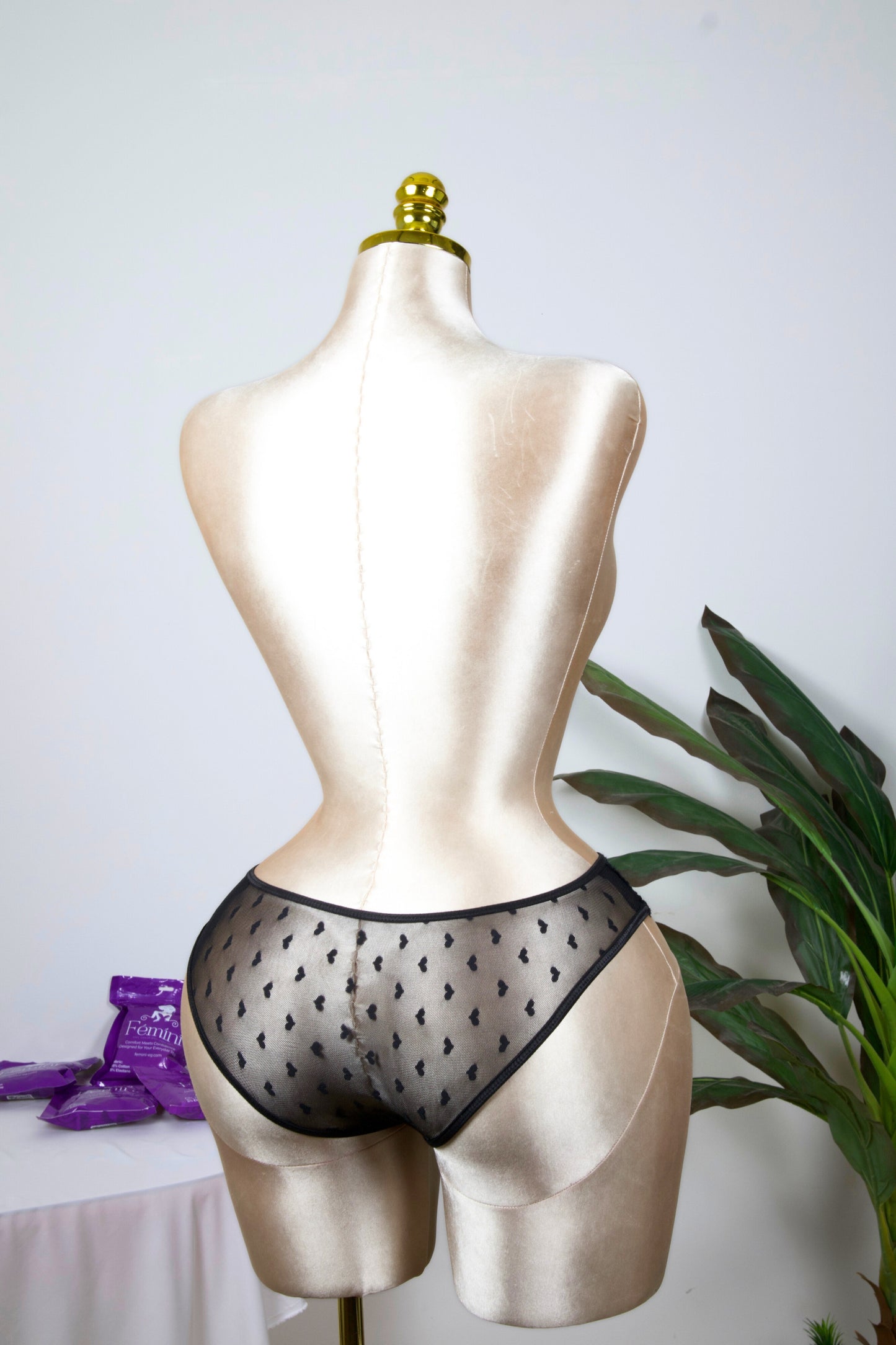 Sheer Reveal Bikini Panty