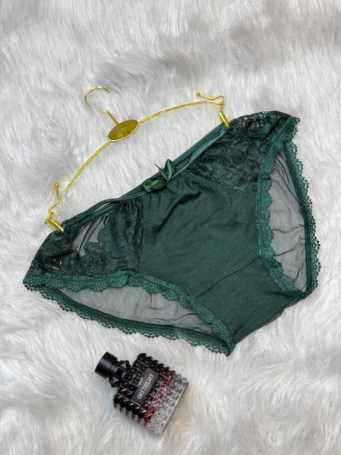 Sheer Reveal Lace Brief panty