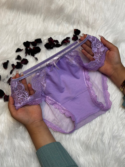 Sheer Reveal Lace Brief panty