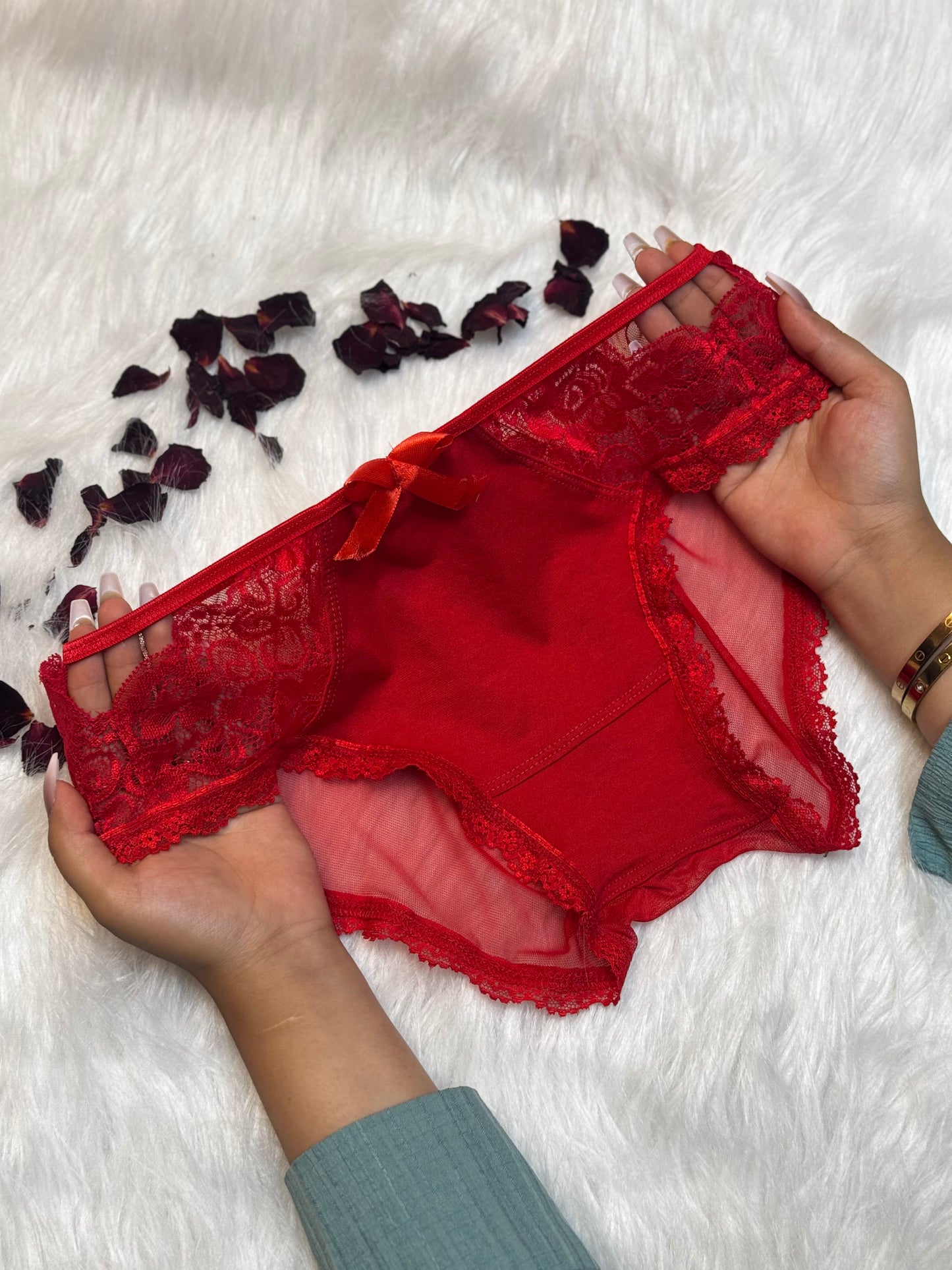 Sheer Reveal Lace Brief panty