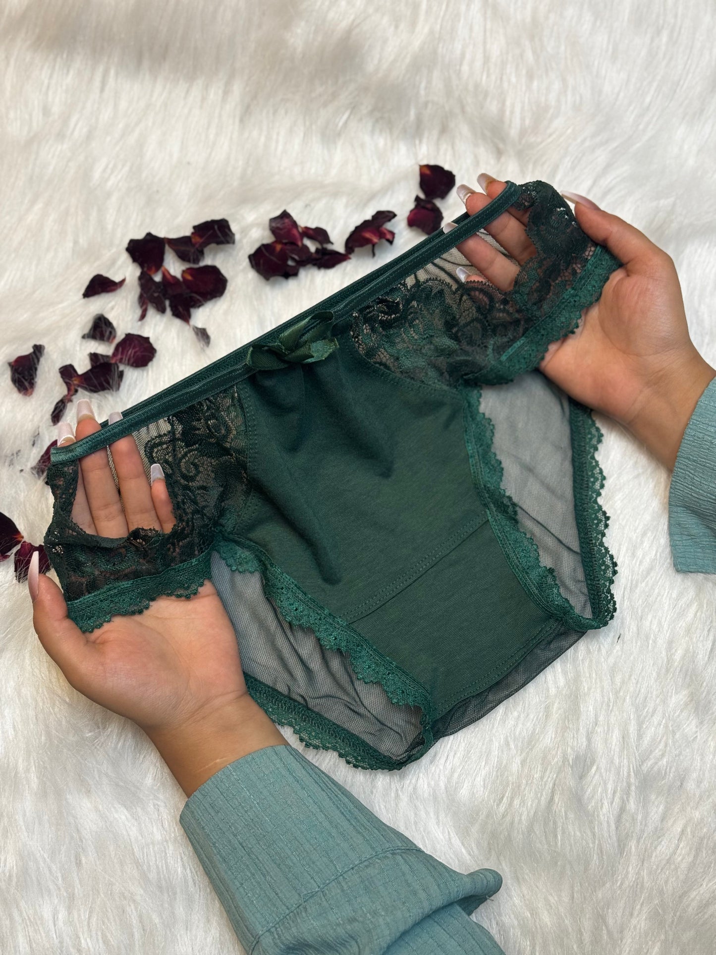 Sheer Reveal Lace Brief panty