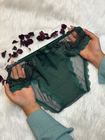 Sheer Reveal Lace Brief panty