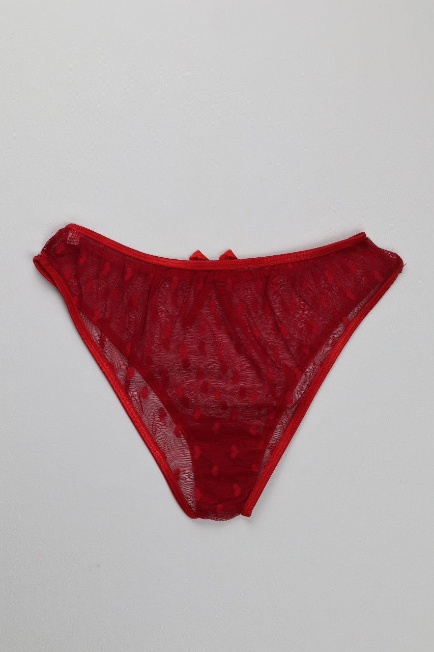 Sheer Reveal Thong Panty