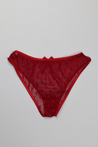 Sheer Reveal Thong Panty