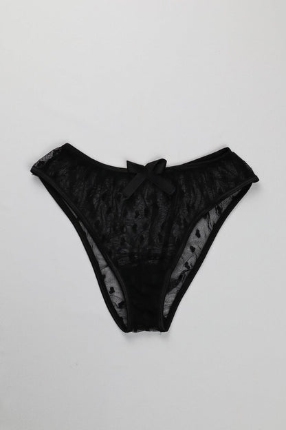 Sheer Reveal Thong Panty