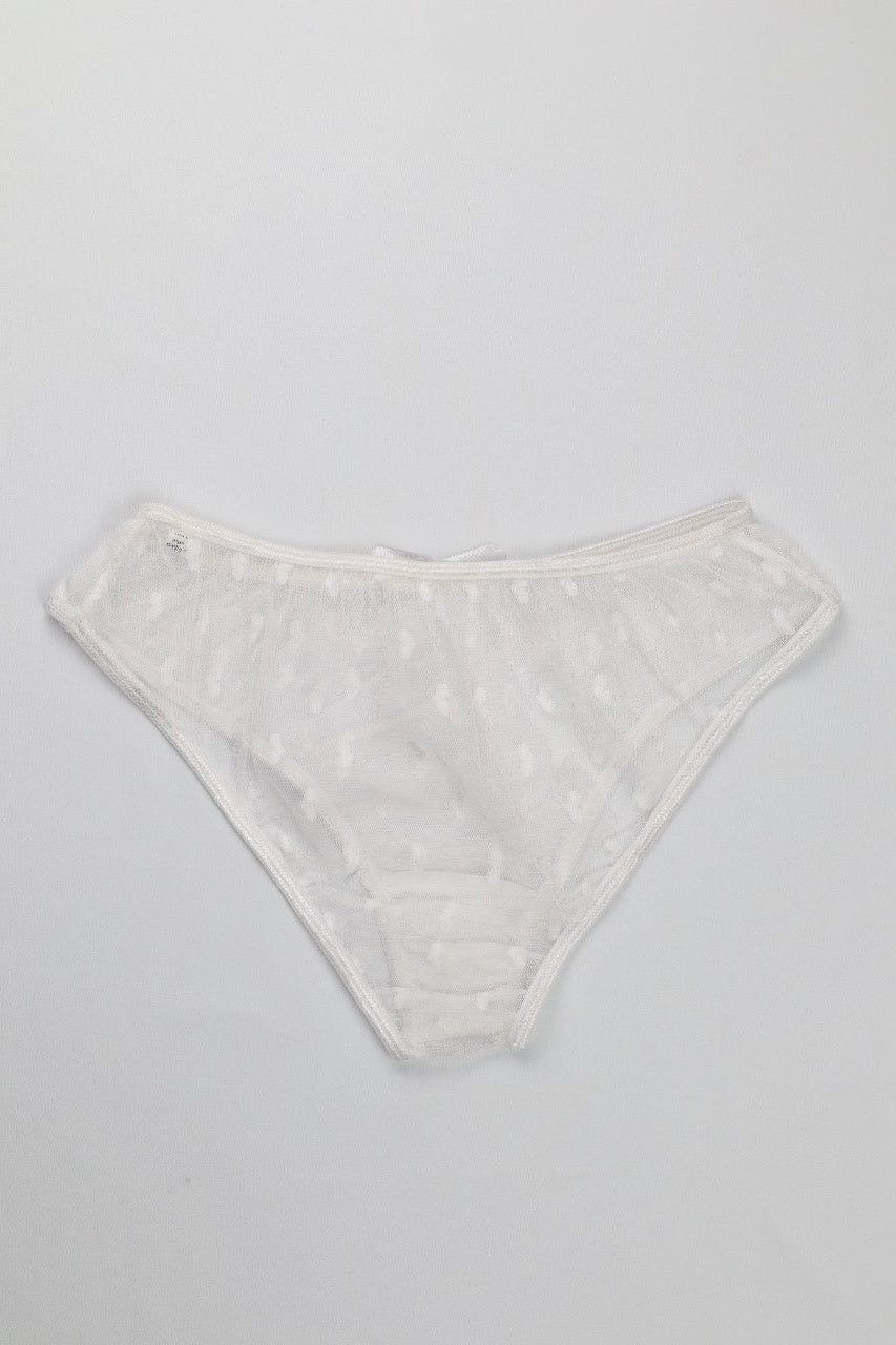 Sheer Reveal Thong Panty