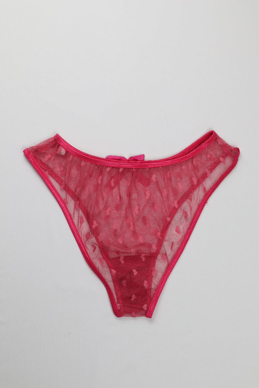 Sheer Reveal Thong Panty