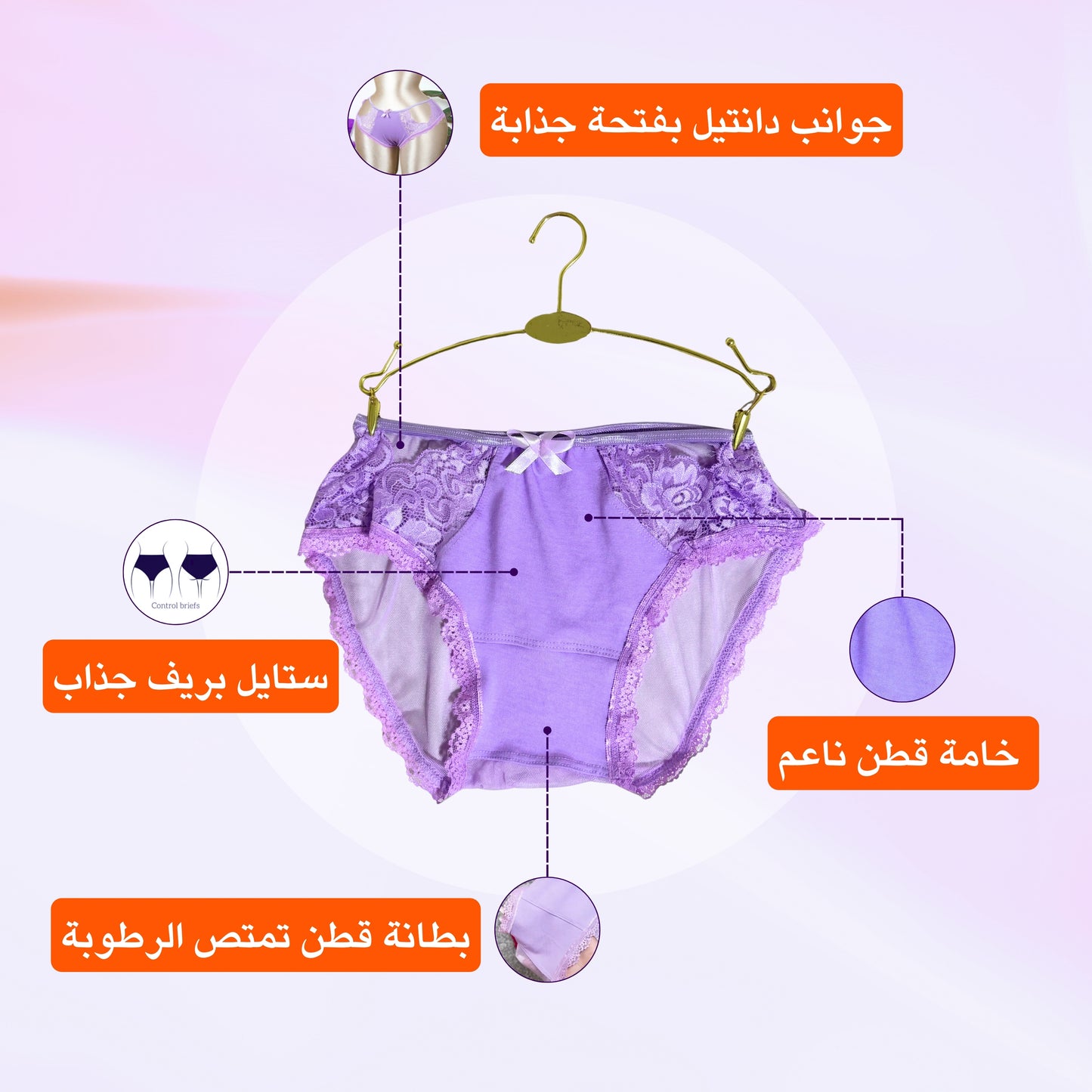 Sheer Reveal Lace Brief panty